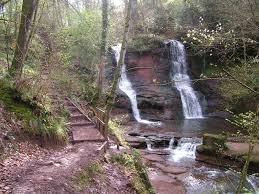 Pwll-y-wrach Nature Reserve