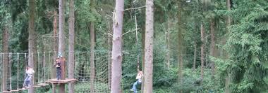 Go Ape Thetford