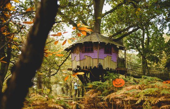 BeWILDerwood