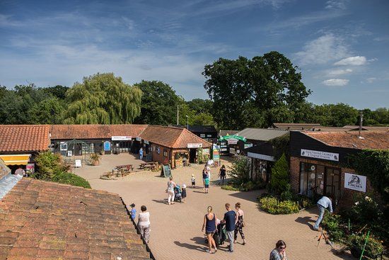 Wroxham Barns