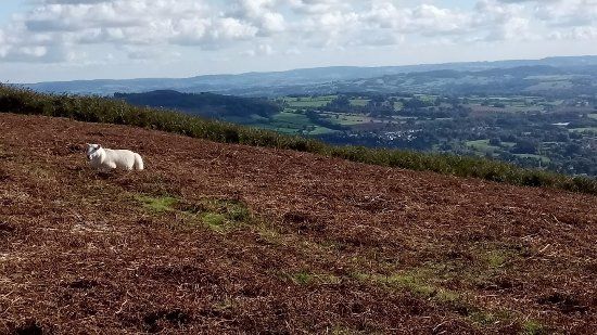 Sugarloaf Mountain