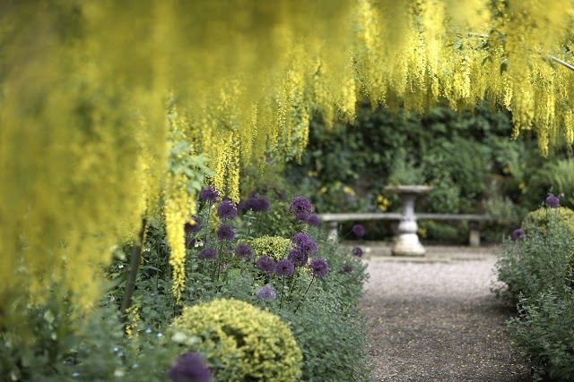 Dorothy Clive Garden