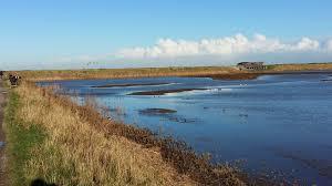 RSPB Titchwell Marsh