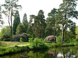 Bedgebury National Pinetum and Forest