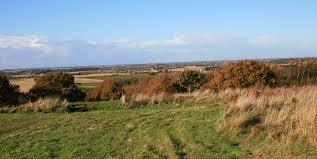 Gorse Hill Nature Reserve