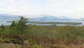 Loch Lomond National Nature Reserve