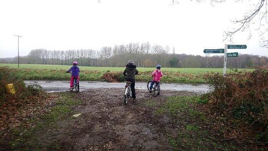 Broadland Cycle Hire