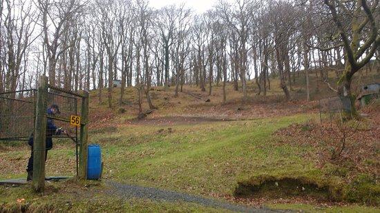 Dovey Valley Shooting Ground