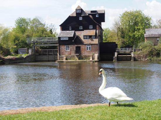 Houghton Mill