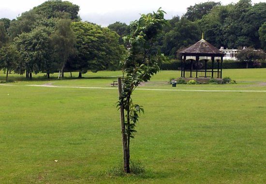 Horsforth Hall Park