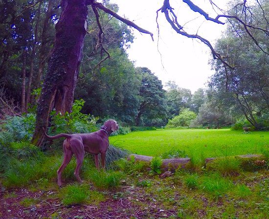 Claudy Country Park