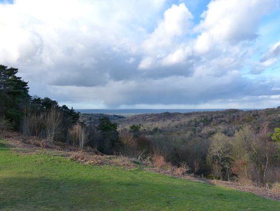Hindhead Commons and the Devil's Punch Bowl